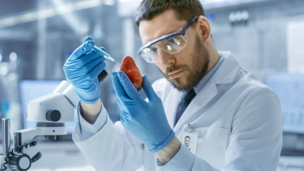 In a Modern Laboratory Food Scientist Injects Strawberry with a Syringe. He's Working on a Genetic Modifications of this Product. In a Modern Laboratory Food Scientist Injects Strawberry with a Syringe. He's Working on a Genetic Modifications of this Product. genetically modified food stock pictures, royalty-free photos & images