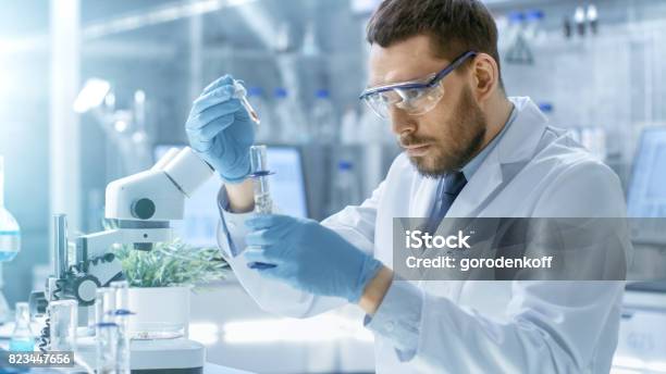 In Einem Modernen Wissenschaftler Führt Laborexperimenten Synthetisieren Verbindungen Mit Einsatz Von Dropper Und Anlagen In Einem Reagenzglas Stockfoto und mehr Bilder von Labor