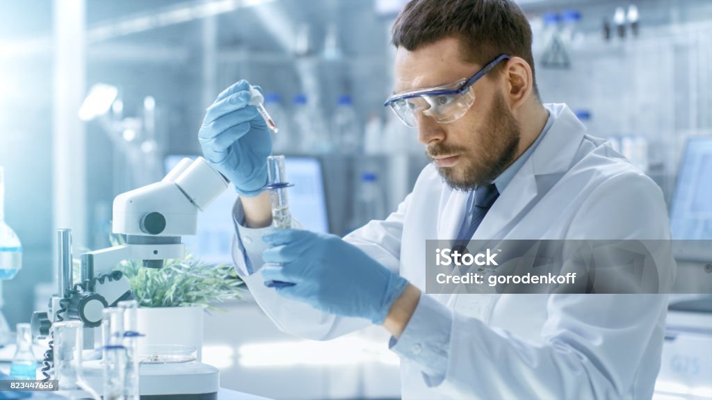 En un moderno laboratorio científico realiza experimentos de sintetizar compuestos con uso del cuentagotas y de planta en un tubo de ensayo. - Foto de stock de Laboratorio libre de derechos
