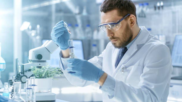 In a Modern Laboratory Scientist Conducts Experiments by Synthesising Compounds with use of Dropper and Plant in a Test Tube. In a Modern Laboratory Scientist Conducts Experiments by Synthesising Compounds with use of Dropper and Plant in a Test Tube. scientist stock pictures, royalty-free photos & images