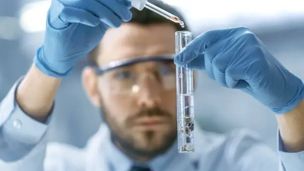 In a Modern Laboratory Scientist Conducts Experiments by Dripping into a Test Tube with Modified Plant.