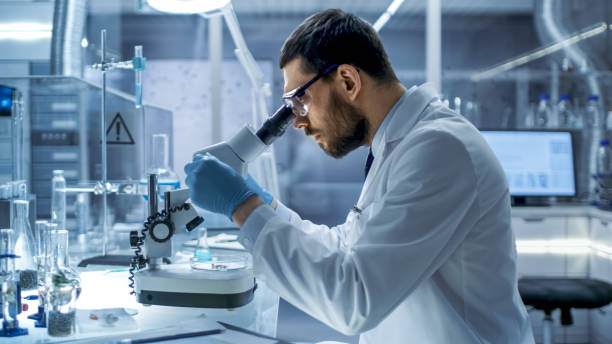istock In a Modern Laboratory Chief Research Scientist Examining Substance in a Petri Dish Under Microscope. 823447708