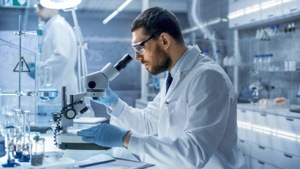 istock In a Modern Laboratory Research Scientist Conducts Experiments with Organic Materials. He is looking in a microscope. 823447726