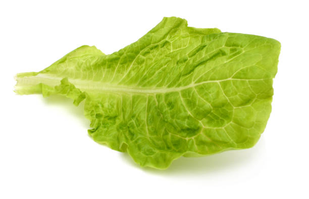 istock A fresh green salad on white 823450634