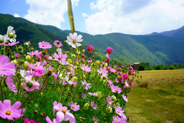 The Tibetan villages