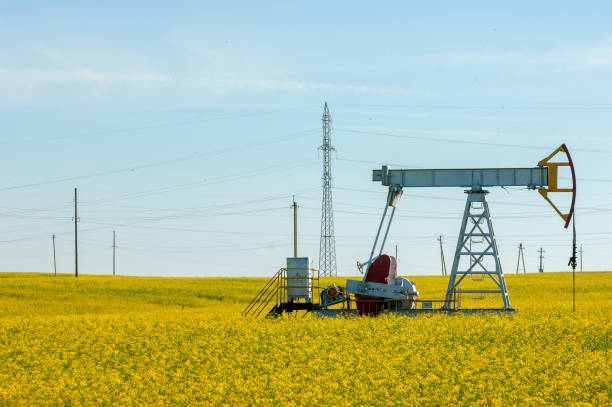 istock rocking oil, rapeseed field 823465126