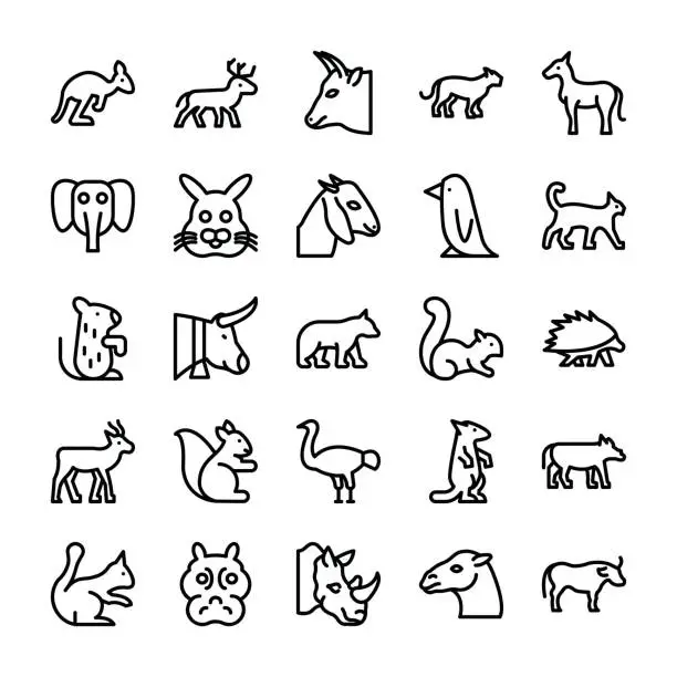 Vector illustration of Animals Line Vector Icons 1
