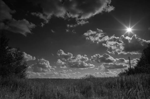A field near the village of Moscow region Buzhaninovo / Moscow region / Russia
