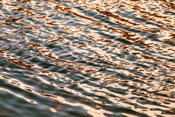 istock Water level, water in motion. Reflected structure of the surroundings is distorted by the movement of water. Abstract blue background. 823470994