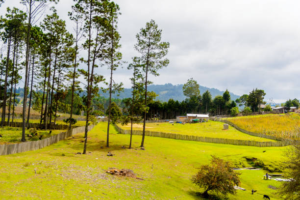 istock Nature of the state Chiapas, Mexico 823471616