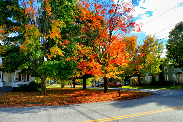 istock Foliage in Autumn in New England 823478674