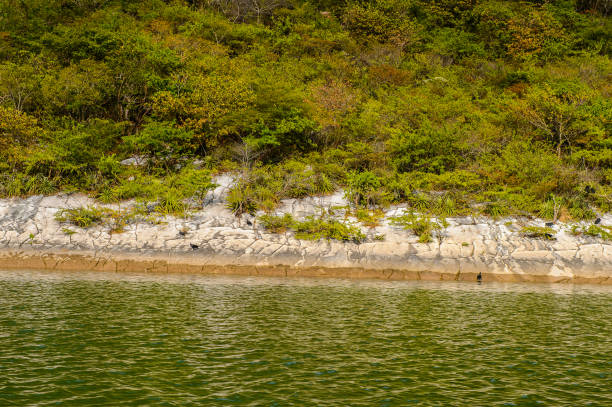 istock Sumidero Canyon, Chipas, Mexico. 823479004
