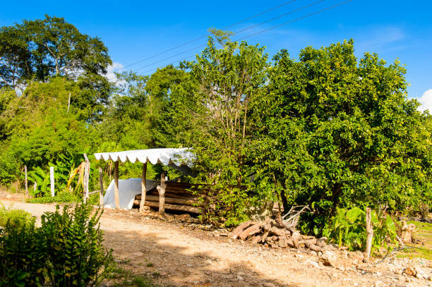istock Village in Yucatan, Mexico 823511408