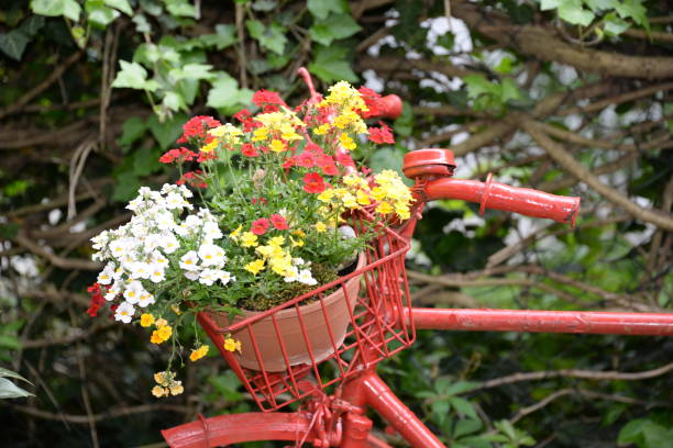 istock Red bicycle with flower decoration 823514746