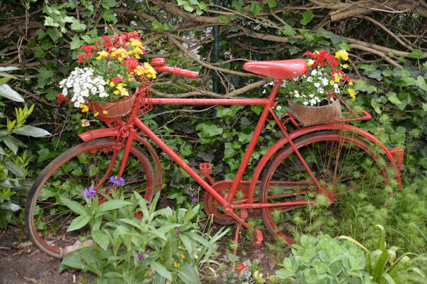 istock Red bicycle with flower decoration 823515364