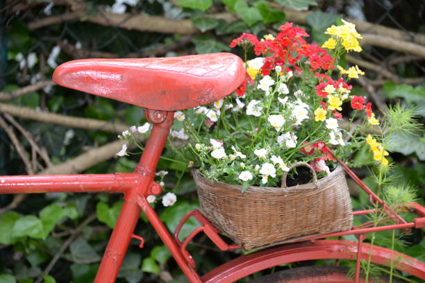 istock Red bicycle with flower decoration 823515644