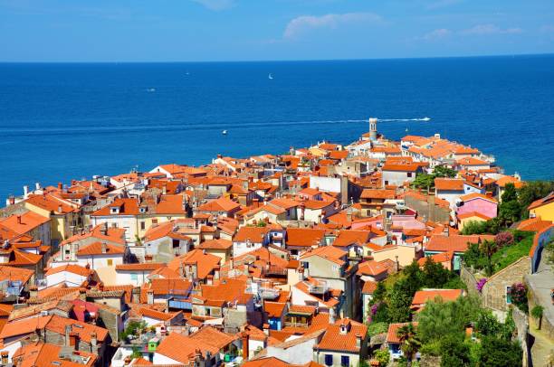 istock Roofs of town Piran 823524812
