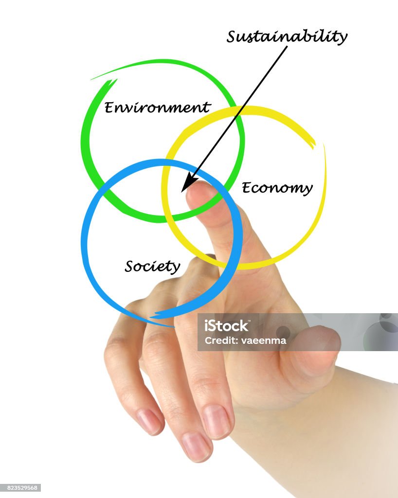 Presentation of diagram of sustainability Activist Stock Photo