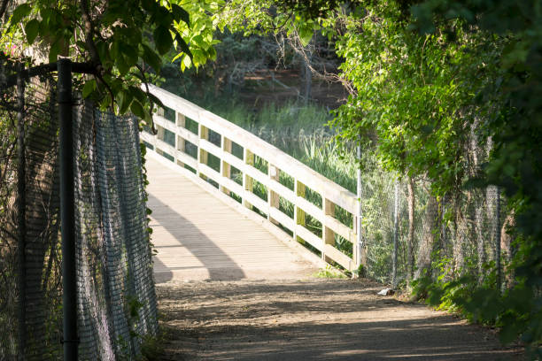 istock Bridge at Sunken Meadow State Park 823541294