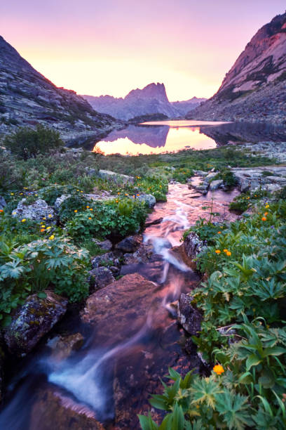 istock Sunset in mountains near river. Sunlight reflected on mountain tops. Golden light from sky reflected in a mountain river. Ergaki 823541668