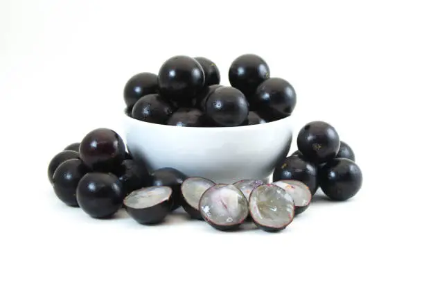 Photo of Jaboticaba