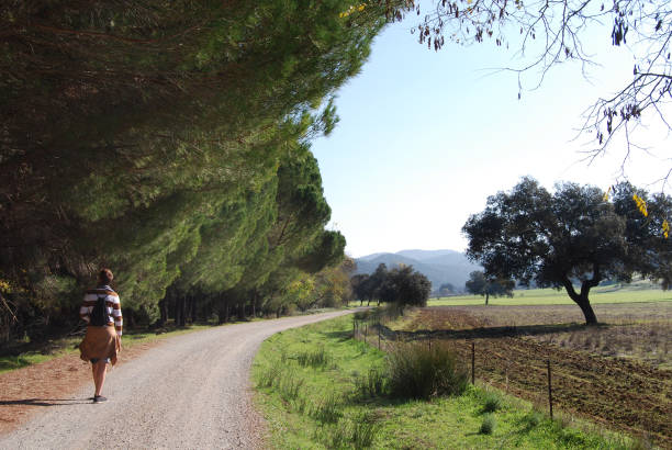 Young man hiking on Via Verde Sierra Norte de Sevilla Greenway in the heart of Sierra Norte de Sevilla Natural Park that follows the old railway line throughout Cerro del Hierro mining area and river Hueznar. via verde spain stock pictures, royalty-free photos & images