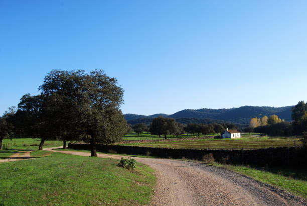 Via Verde Sierra Norte de Sevilla Greenway in the heart of Sierra Norte de Sevilla Natural Park that follows the old railway line throughout Cerro del Hierro mining area and river Hueznar. via verde spain stock pictures, royalty-free photos & images