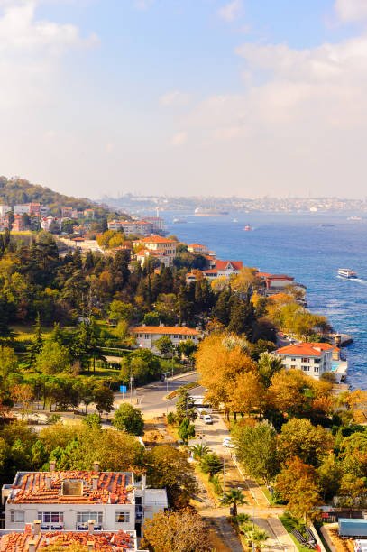 istock Panorama of Istanbul, Turkey 823576140
