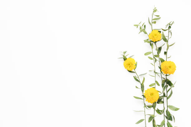 istock Arrangement With Yellow Flowers 823580386