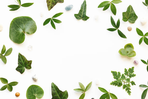 istock Arrangement With Green Leaves And Stones 823580430