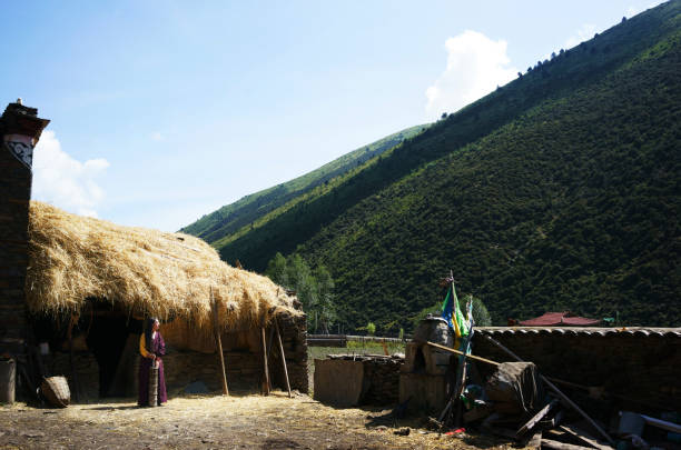 Tibetan young woman working in the field