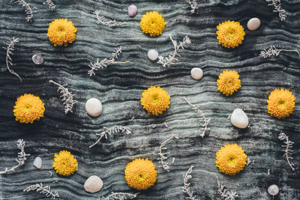 istock Floral Arrangement On Dark Background 823592190