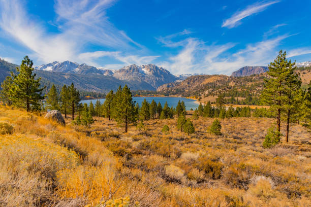 istock June Lake is surrounded by fall color (P) 823596426