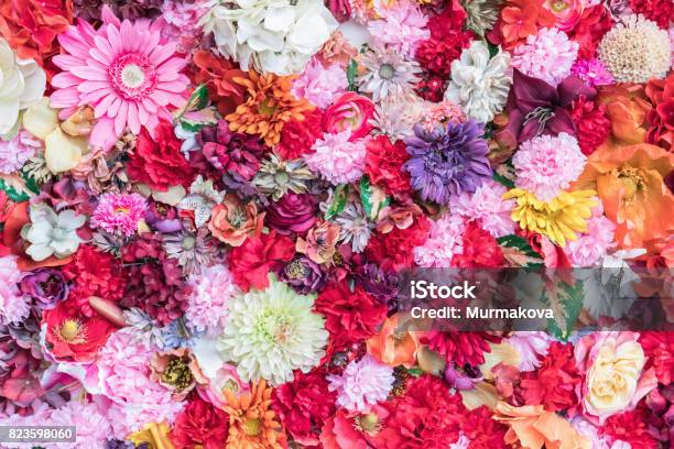 Colores De Fondo Floral Muchas Flores Dispuestas En El Sustrato El Concepto  De Color Flores De