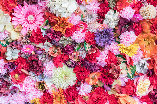 Floral colored background. Many flowers arranged in the substrate. The concept of color, structure flowers. Beautiful flowers background for wedding scene