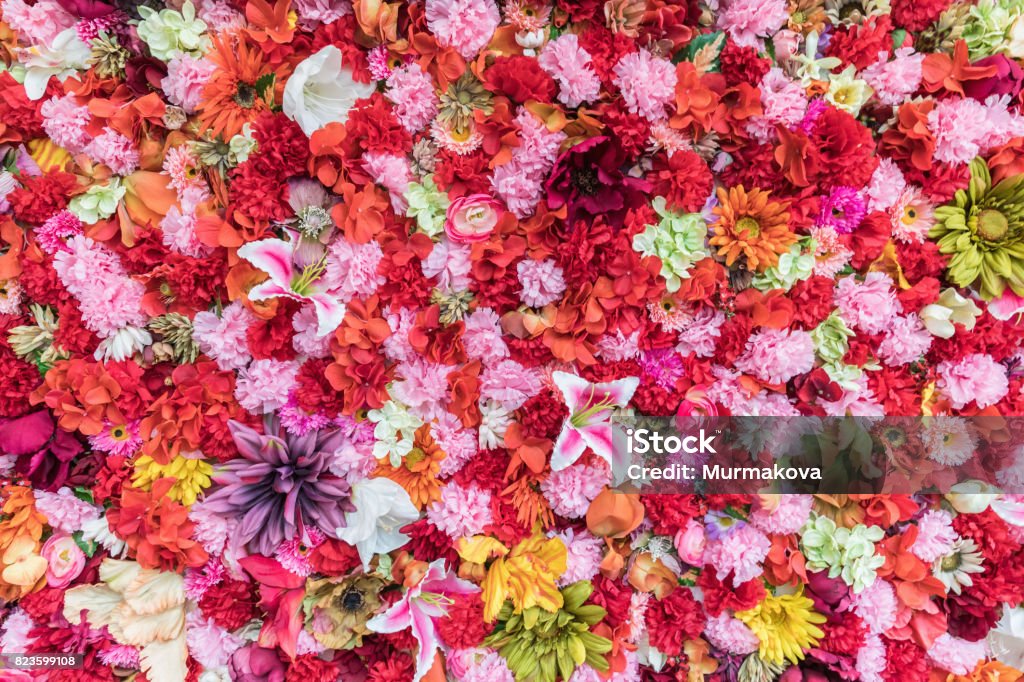Colores De Fondo Floral Muchas Flores Dispuestas En El Sustrato El Concepto De Color Flores De Estructura Fondo De Flores Para La Escena De La Boda Foto de stock y más banco Colores De Fondo Floral Muchas Flores Dispuestas En El Sustrato El Concepto De Color Flores De Estructura Fondo De Flores Para La Escena De La Boda Foto de stock y más banco