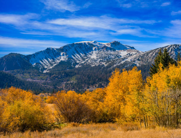 istock Autumn in the Eastern Sierras at Mammoth Lakes, CA 823599576