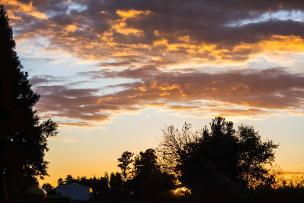 istock rural landscape in golden light 823607462