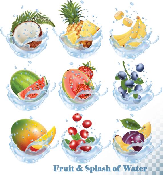 ilustraciones, imágenes clip art, dibujos animados e iconos de stock de gran colección de la fruta en un iconos de salpicaduras de agua. - splashing orange fruit water