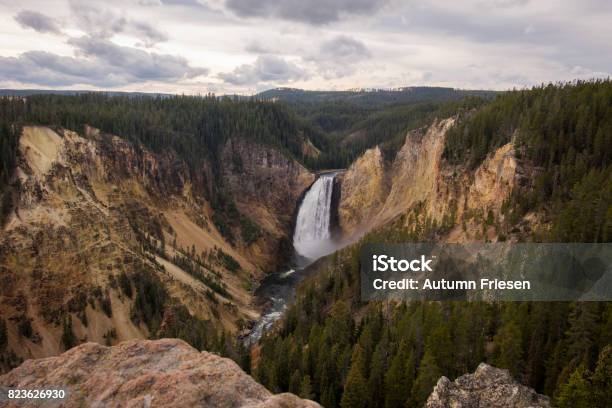 Upper Yellowstone Falls Stock Photo - Download Image Now - Arizona, Canyon, Coniferous Tree