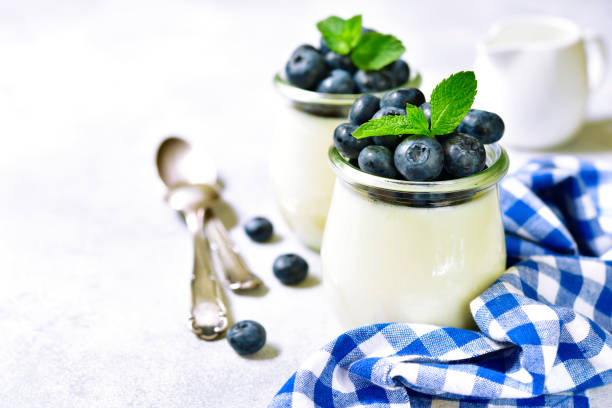 waniliowa panna cotta ze świeżymi jagodami - cream gelatin dessert berry fruit blueberry zdjęcia i obrazy z banku zdjęć