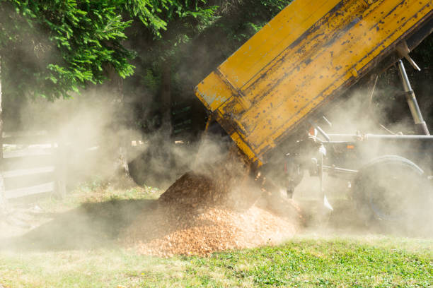 istock Tipping truck unloading gravel 823627554