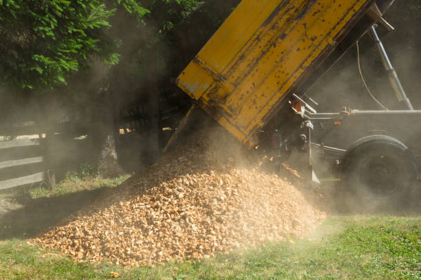 istock Tipping truck unloading gravel 823627590