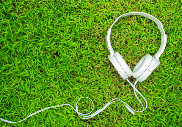 istock White headphones on green grass. Summer lawn with personal device. 823628680