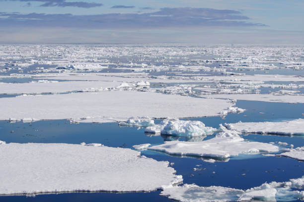 istock Breathtaking Views of the Arctic Pack Ice near Svalbard 823631176