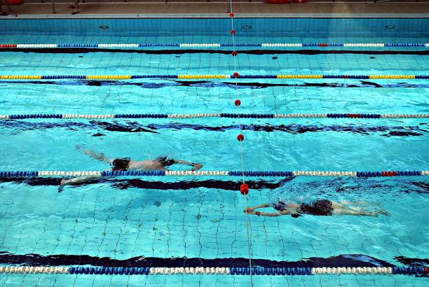 istock swimming in the swimming pool 823631720