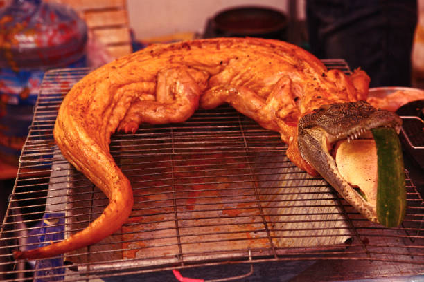 assado de crocodilo no mercado asiático - barbecue meal seafood steak - fotografias e filmes do acervo