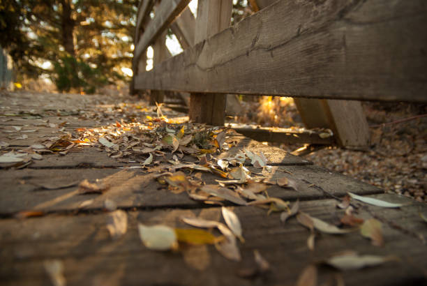 Autumn Leaves on a Foot Bridge stock photo