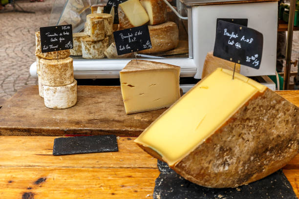 istock varyete of cheese 823634824