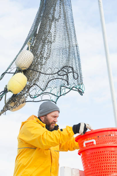 istock Man working on commercial shrimp boat, with basket 823637174